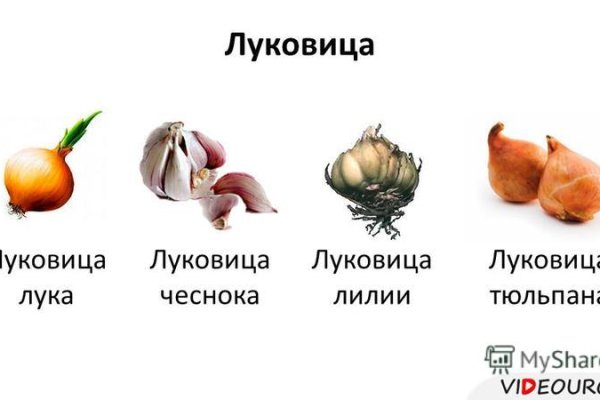 Кракен зеркало сегодня